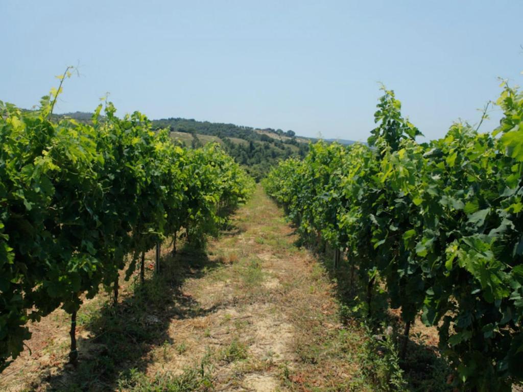 Tenuta Ponziani Wine Resort&Spa Morrano Eksteriør bilde